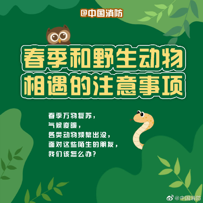 與野生動(dòng)物“遭遇”怎么辦？