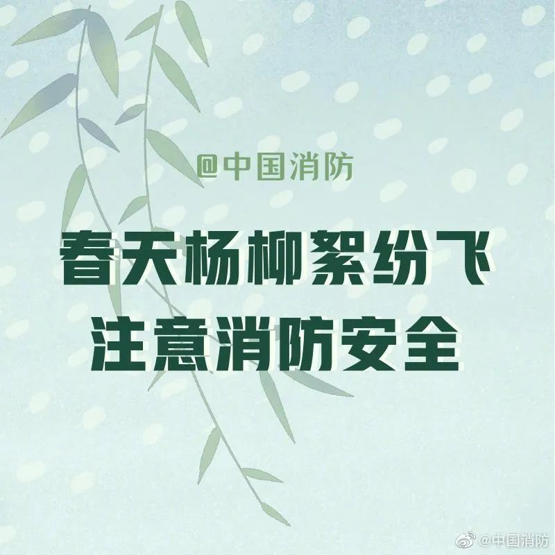 春季謹防楊柳絮著火
