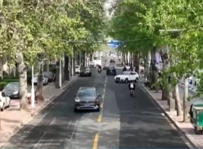 楊柳飛絮潛藏火災隱患，消防安全不可忽視