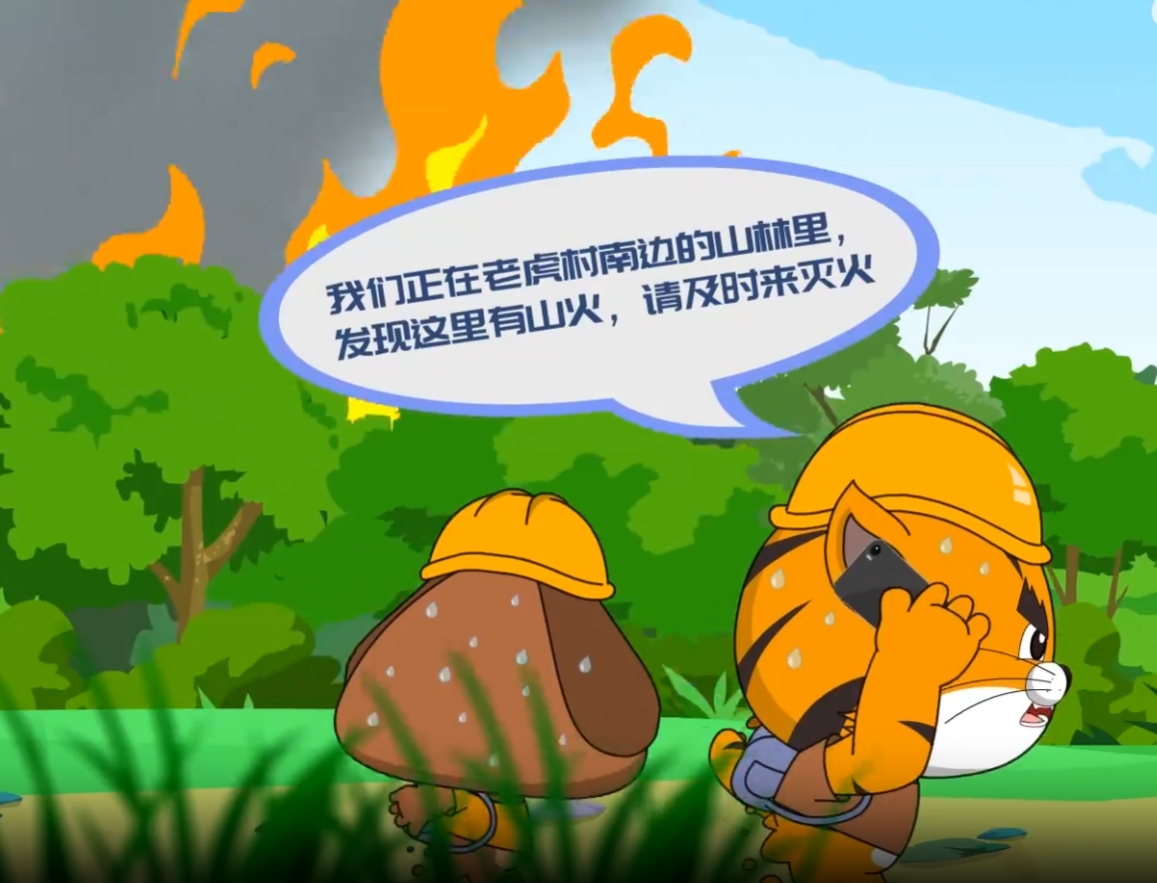 如遇森林火災(zāi)，該如何避險？