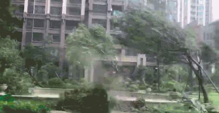 必讀！這份氣象災(zāi)害應(yīng)急知識手冊請收好！