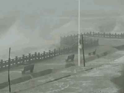 “泰利”來了！安全提醒！