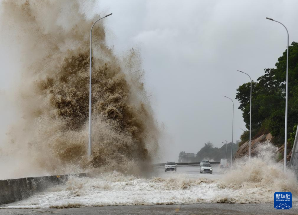 轉(zhuǎn)需！臺(tái)風(fēng)來(lái)臨收好避險(xiǎn)指南