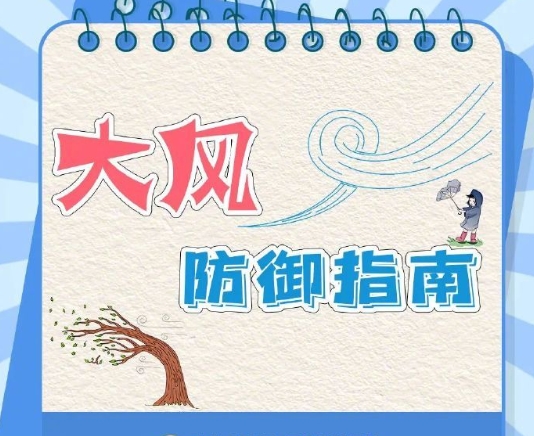 轉(zhuǎn)發(fā)收藏！大風(fēng)天氣防御指南來了