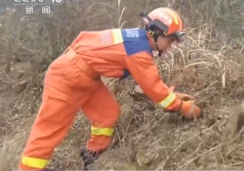 【新聞直播間】小動物“走錯家門” 消防緊急救助