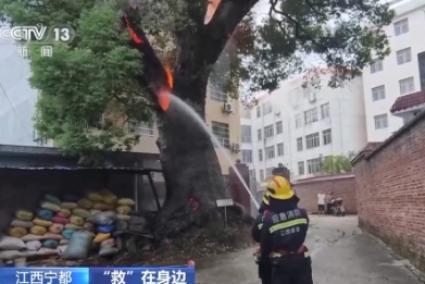 【新聞直播間】野外用火致火災 消防緊急撲救