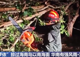 【新聞直播間】受臺(tái)風(fēng)“博羅依”影響 海南瓊海大風(fēng)致樹木倒伏 消防及時(shí)清理